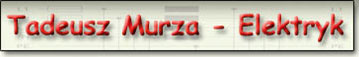 Strona gwna
